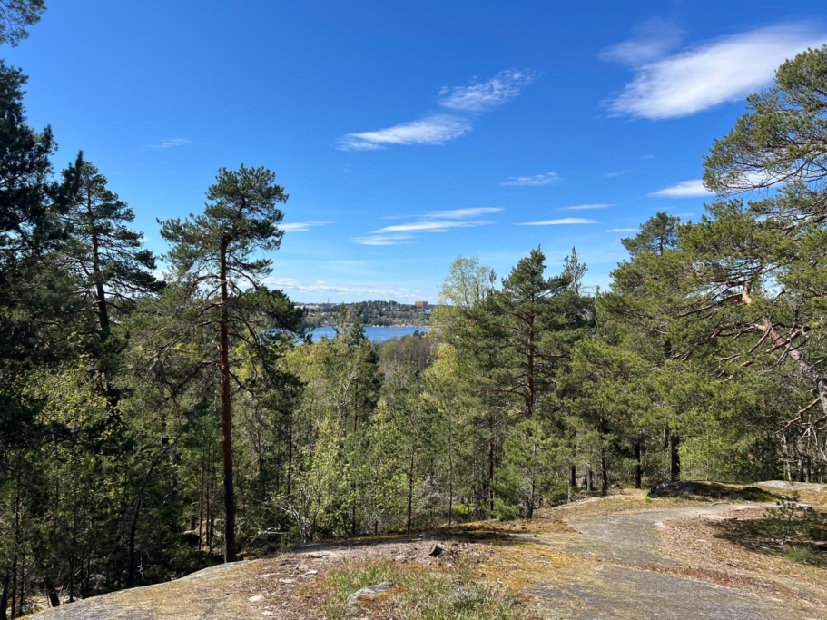 Underbar altan och trädgård med naturen och Edsviken som närmaste granne.