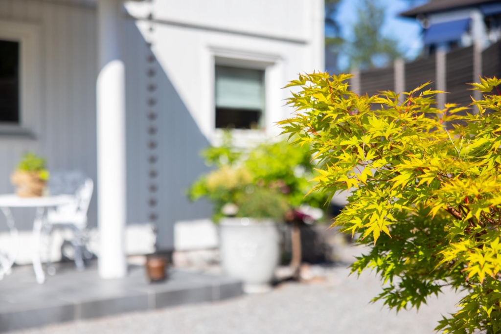 Arkitektritad villa 6 rum, 231 kvm på insynsskyddad tomt.