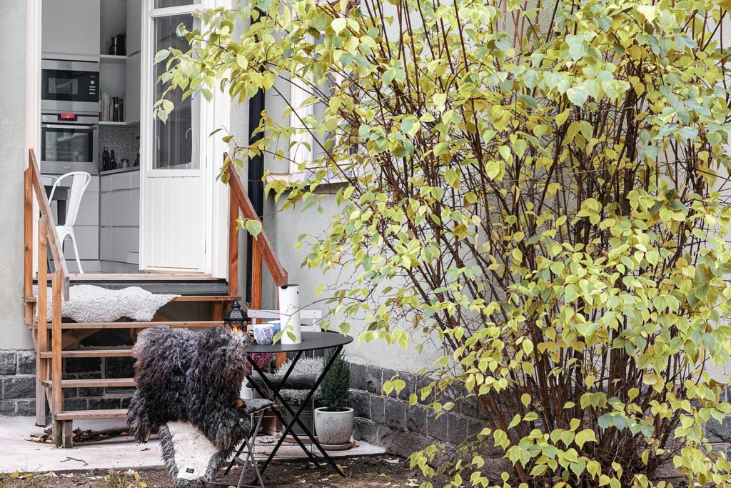 Superfin sekelskiftestrea med direktutgång till gården från köket.