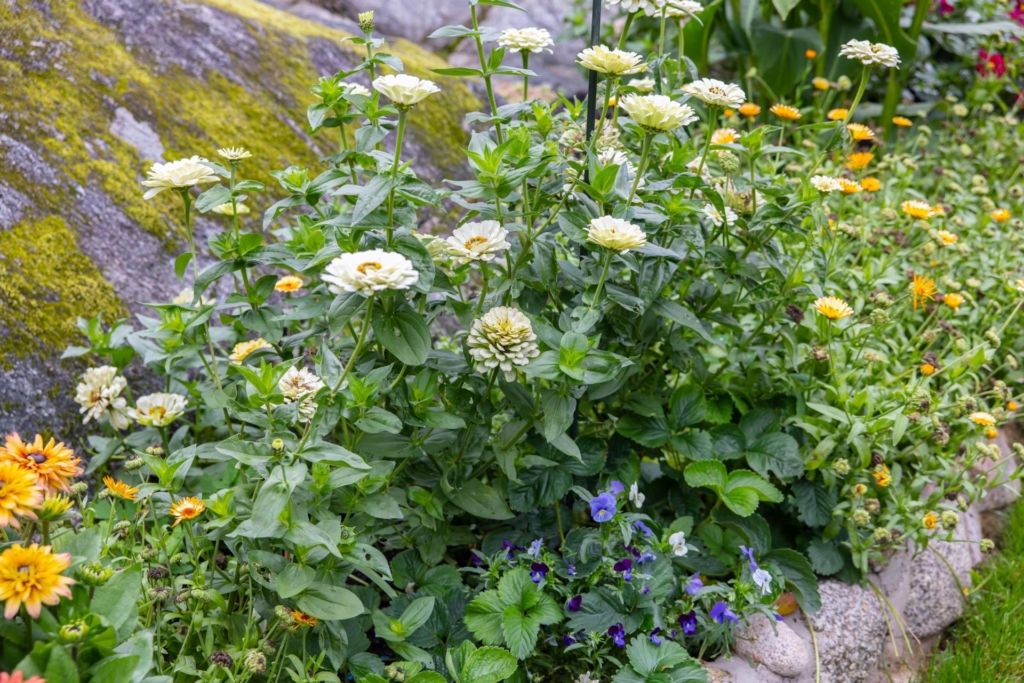 Smakfull, påkostad och mycket tilltalande villa om 218 kvm med fantastisk trädgård!