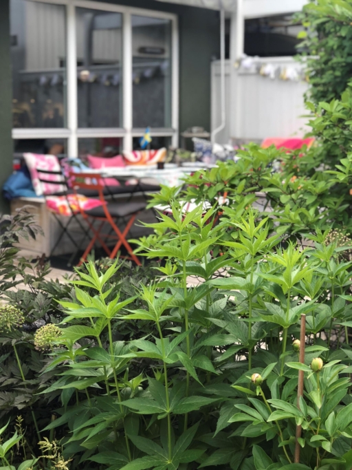 Läckert ”tornhus” med vinterbonat uterum!