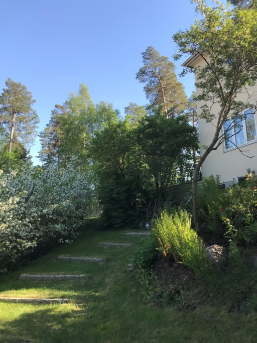 Topprenoverad funkisdröm med 7 rum och skogsnära läge.