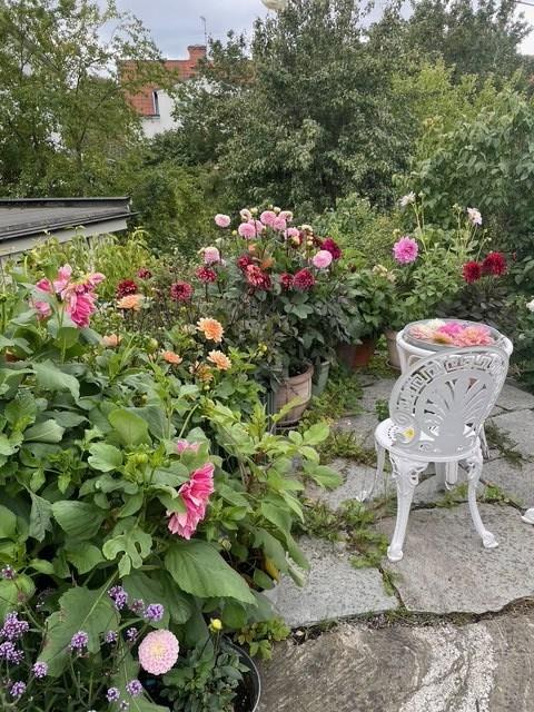 Charmig 20-talsvilla med tilltalande trädgård. Smakfullt kök och badrum. Fungerande kakelugn.