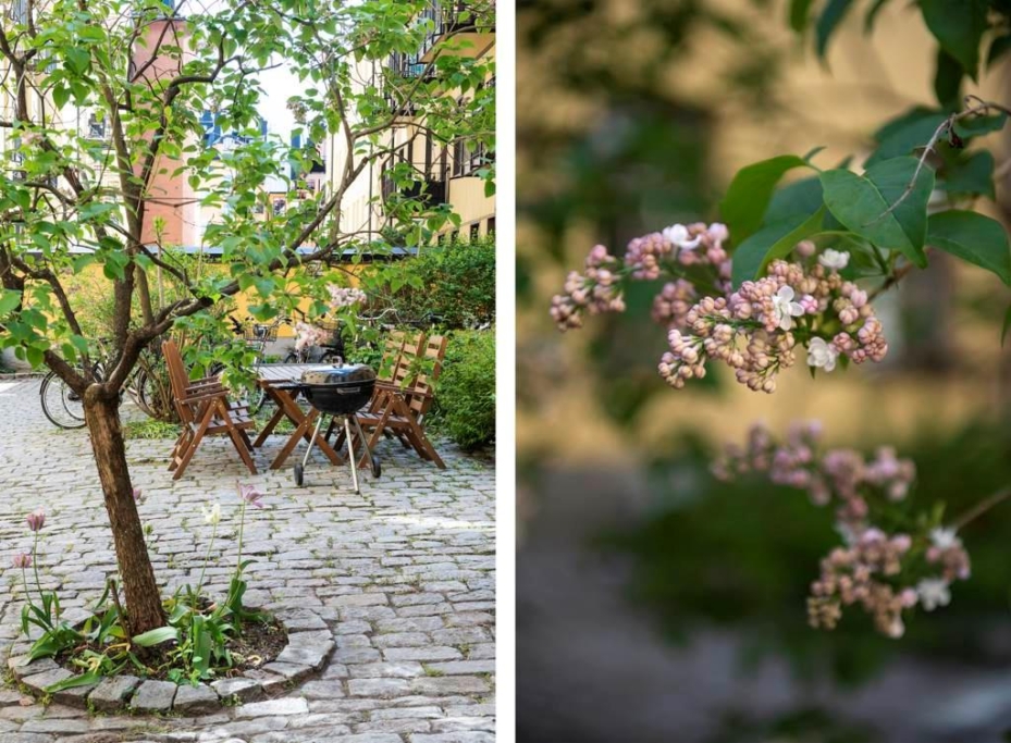 Magisk sekelskiftestrea med solig uteplats!