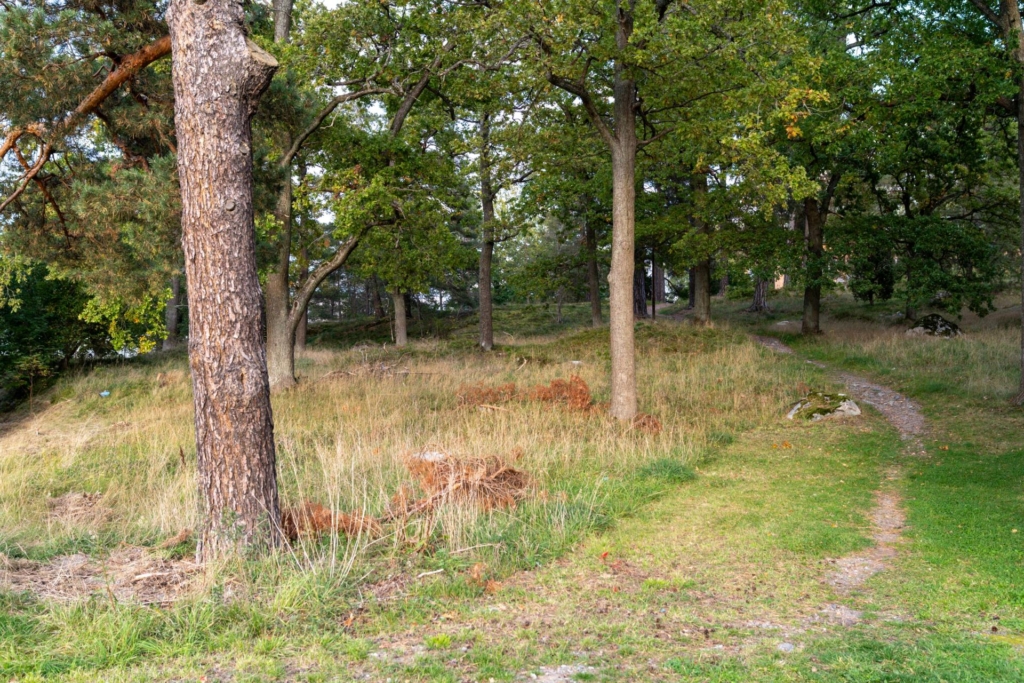 Högst upp i huset med balkong i söderläge och insynsskyddad utsikt – fri andrahandsuthyrning!