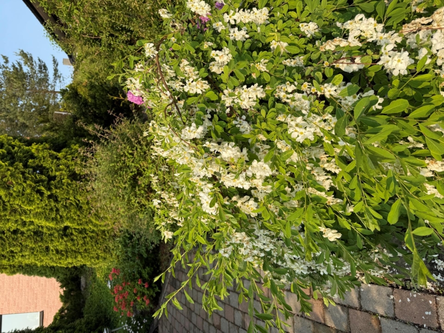 Villa på ca 170 + 34 kvm. Kök, vardags- och matrum på ca 60 kvm. Stort allrum, 5 sovrum och 2 badrum