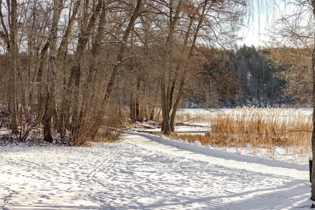 En oslipad pärla intill Norrvikens vatten