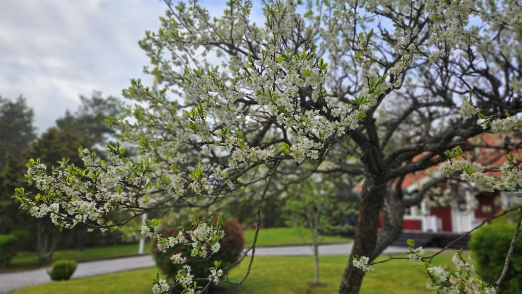 Välkommen till detta underbara hus med bullerby känsla.