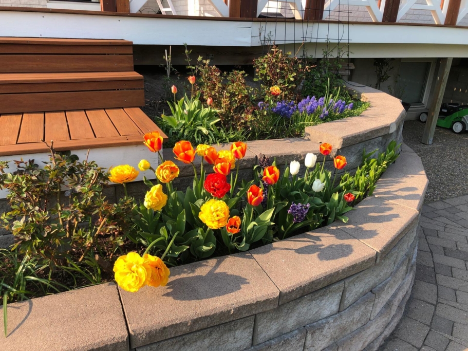 Familjeidyll vid Päronparken – hörntomt i soligt söderläge!