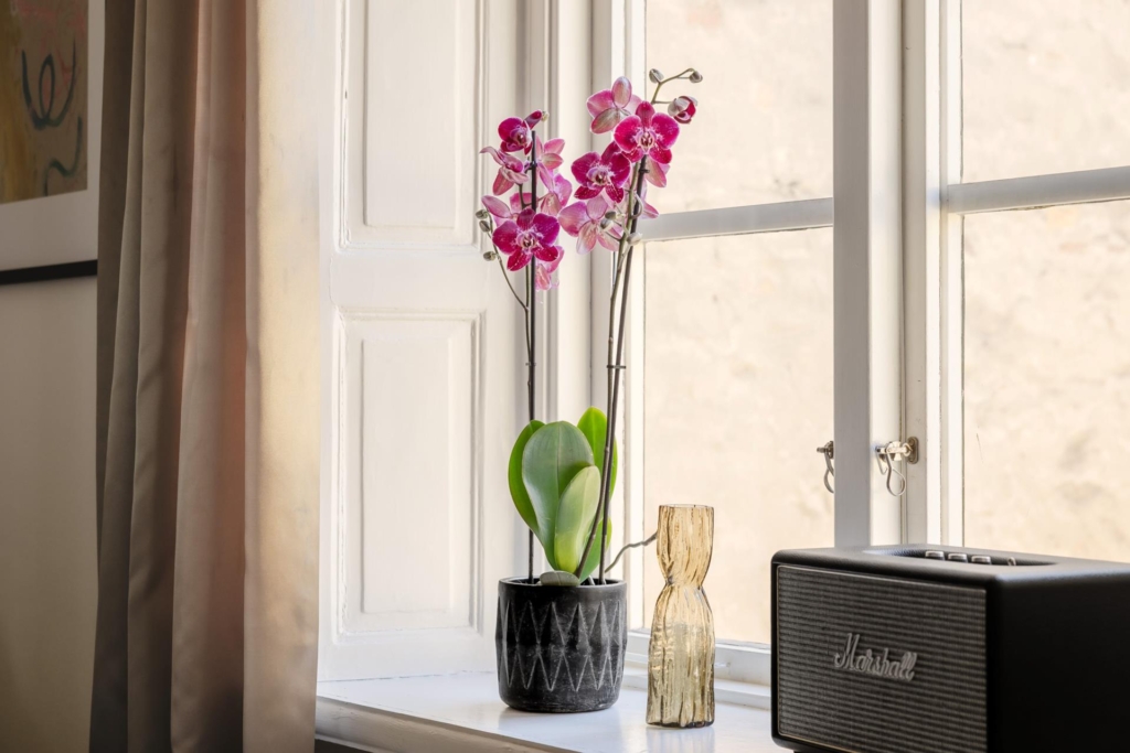 Högt upp i vackert och charmigt hus från mitten av 1800-talet.