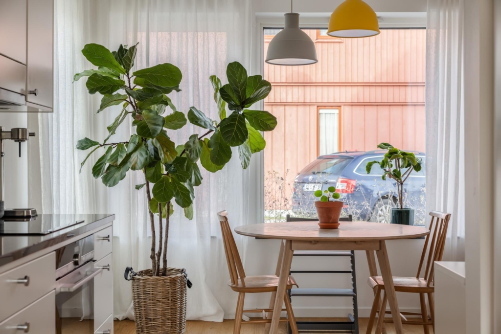 Modernt gavelradhus med 4 sovrum intill parken