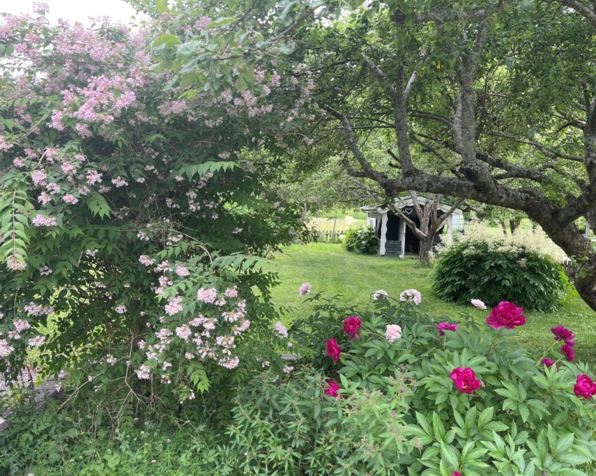 Rymlig villa med uthyrningsdel intill grönskande natur