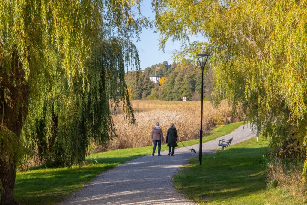 Sjönära och fantastiskt rymlig 50-talsvilla med sydvästvänd tomt samt badrockavstånd till Edsviken.